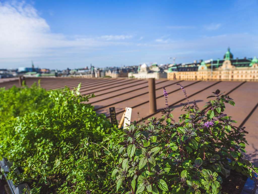 Radisson Collection, Strand Hotel, Stockholm Bagian luar foto Rooftop garden